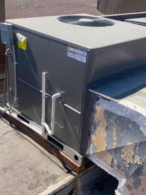 WhatsApp Image 2024-04-18 at 7.41.20 p. m. (2)